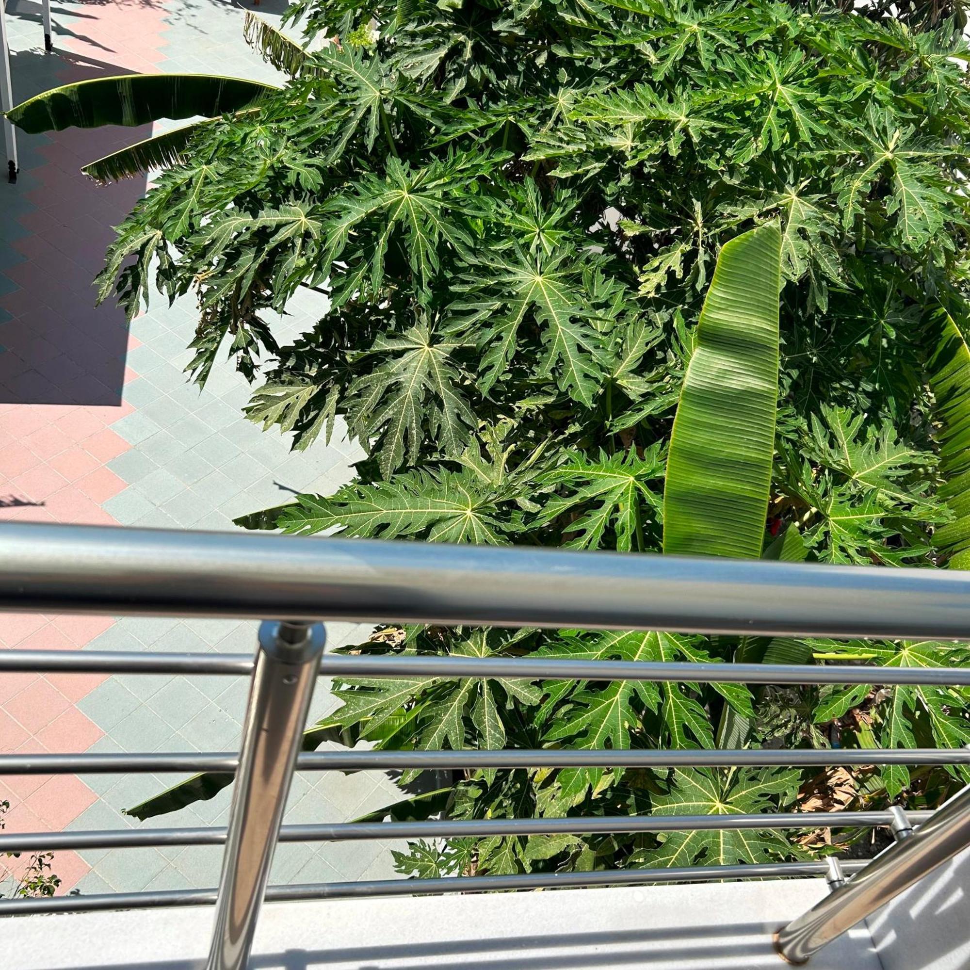 Sea Breeze Hotel 마스티차리 외부 사진